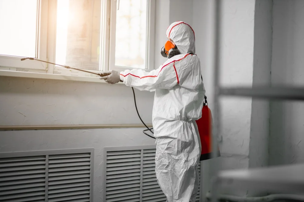 Professional mold remediation services in Harwich Port, MA